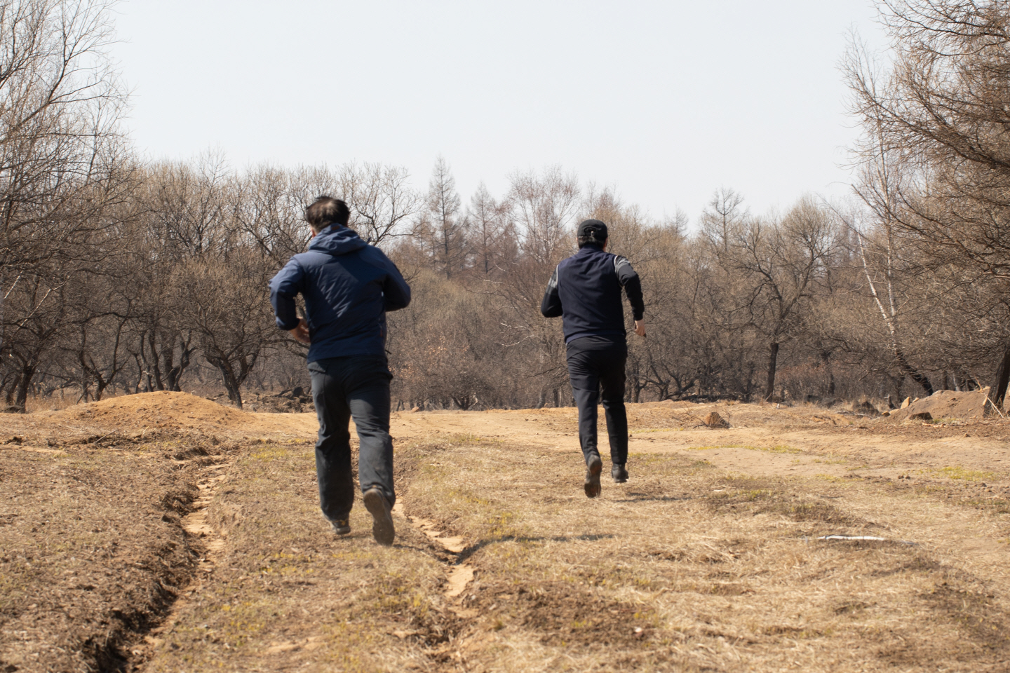 点击查看原图大小