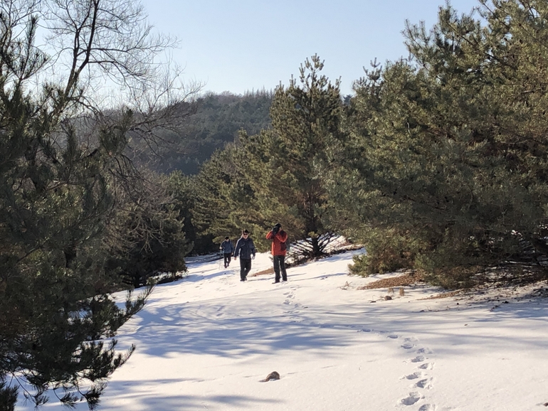 点击查看原图大小